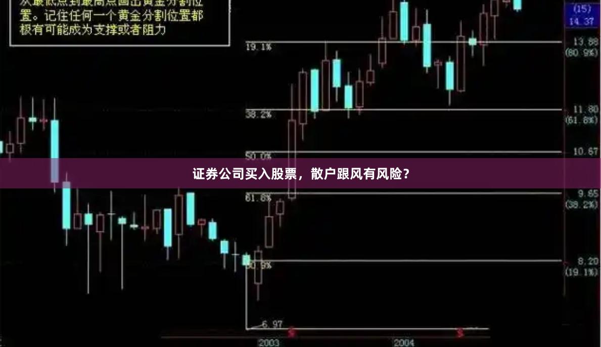 证券公司买入股票，散户跟风有风险？