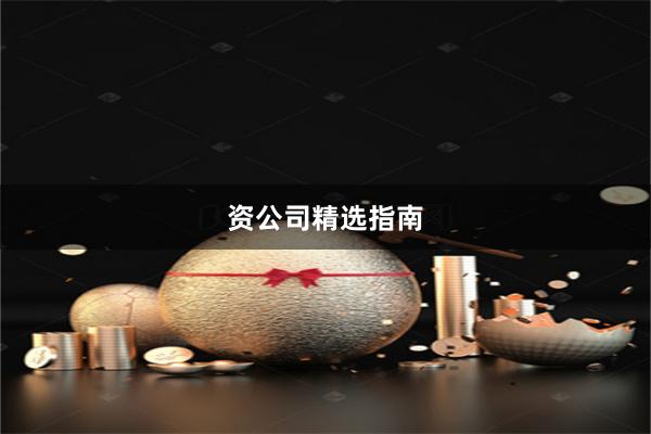 资公司精选指南