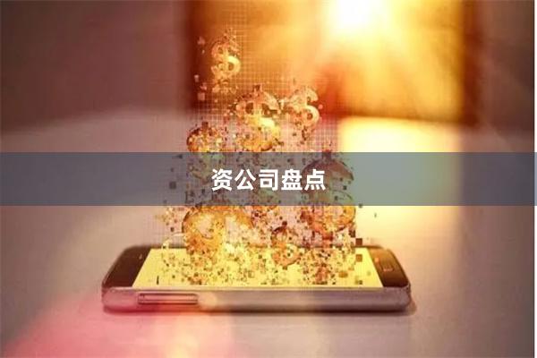 资公司盘点