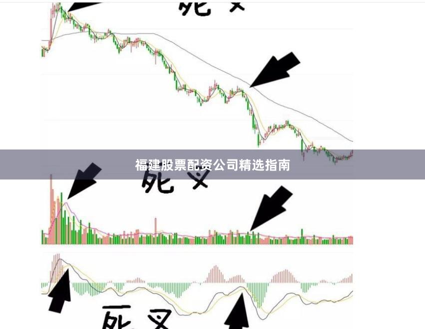 福建股票配资公司精选指南